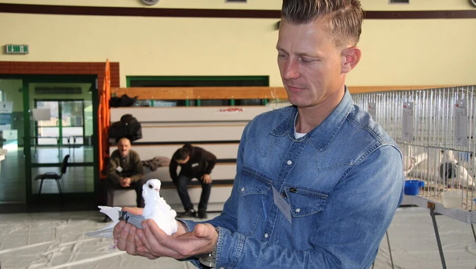 Wyjątkowe rasy gołębi w Moszczenicy