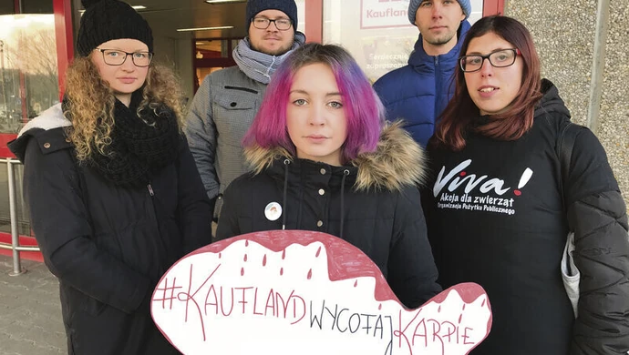 Piotrkowskie sklepy też wycofują się ze sprzedaży żywych karpi 