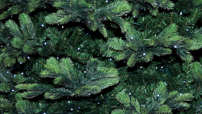 Jaką choinkę wybrać na święta?