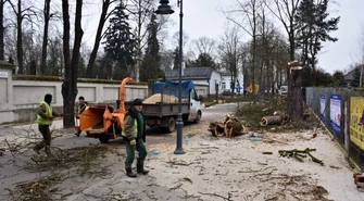 Posadzą drzewa na Cmentarnej