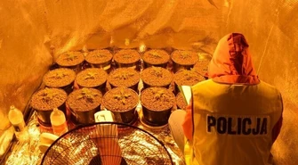 Rodzinny biznes rozbiła policja 