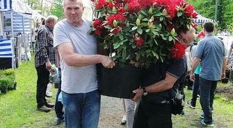 Pamiętajmy o ogrodach! W niedzielę targi w Bykach 