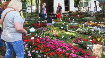 Kwiaty, sadzonki i zdrowa żywność na kolejnych targach w Bykach