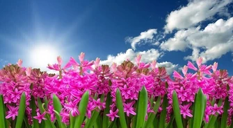 Jaka pogoda na weekend i najbliższe dni?