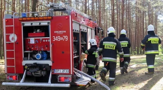 Płonie las w gminie Aleksandrów...