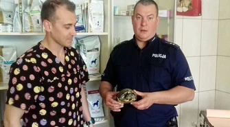 Interweniowali w sprawie żółwia