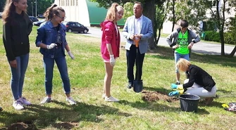 Dęby Niepodległości w Wolborzu