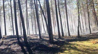 Pożar lasu w Trzech Morgach