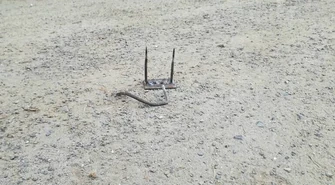 Kto zastawia pułapki na spacerowiczów?