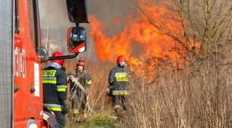 Podpalacz lasów w gminie Rozprza?