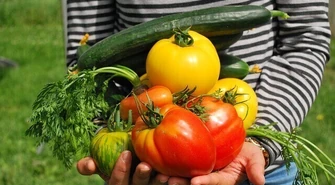 Grabica zaprasza na "Warzywne Smaki Regionu".