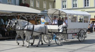 Piotrkowianie podróżowali w starym stylu