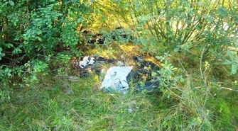 Śmieciowe problemy w gminie Rozprza