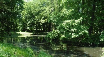 Zabytkowy park w Moszczenicy odzyska dawną świetność 