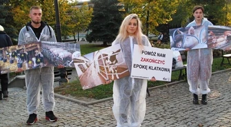 Chcą skończyć z hodowlą klatkową. Zbierali podpisy w centrum Piotrkowa 