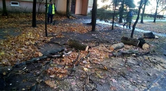 Są straty po wichurze 