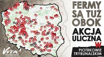 Fermy są tuż obok! Kolejna akcja Vivy w Piotrkowie Trybunalskim 