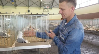 Wystawa gołębi rasowych w Moszczenicy