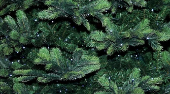 Jaką choinkę wybrać na święta?