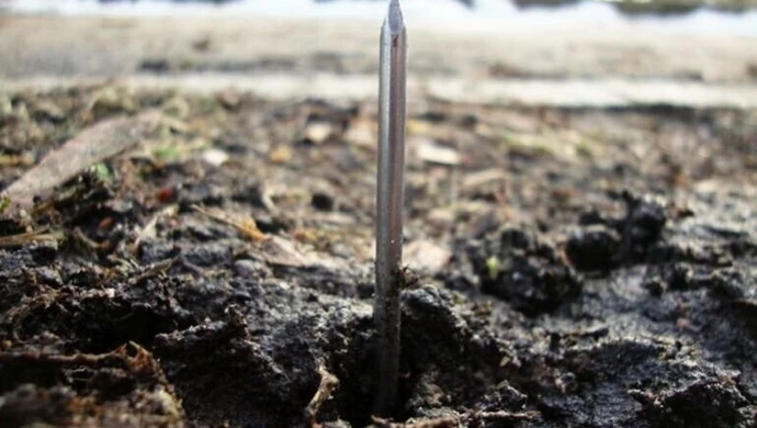 Wybieracie się do parku? Uważajcie na gwoździe! 