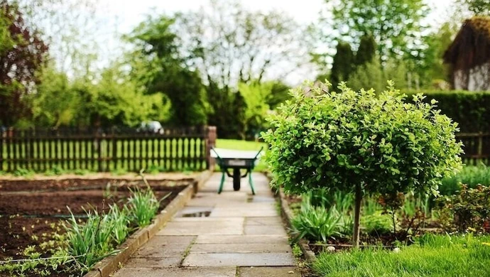 Działkowcy z Moszczenicy zapraszają