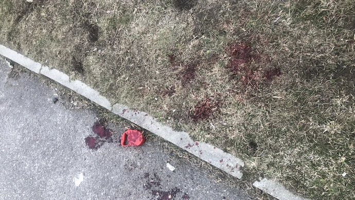 Agresywny pies zaatakował człowieka i innego czworonoga