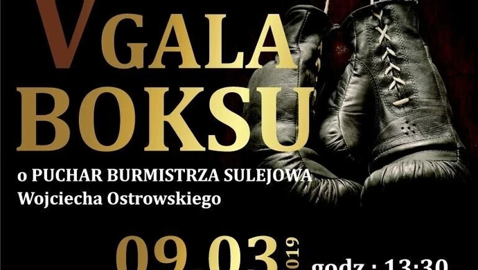 V Gala Boksu w Sulejowie. Powalczą o puchar burmistrza 