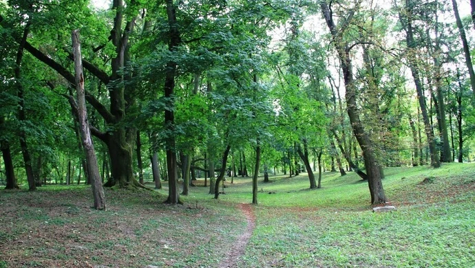 Kto odnowi moszczenicki park?