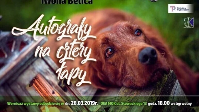 Autografy na cztery łapy