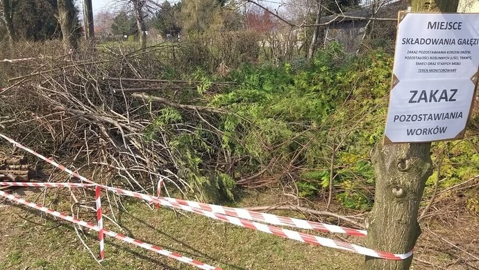 Pogoda sprzyja działkowcom. Sezon rozpoczęty?