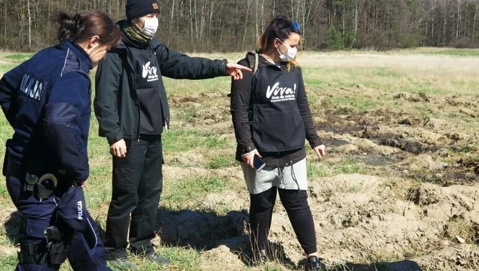 Szczątki zwierząt na polach pod Piotrkowem 