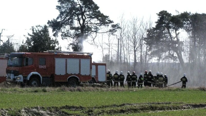 Pożar lasu i traw w Jadwinowie