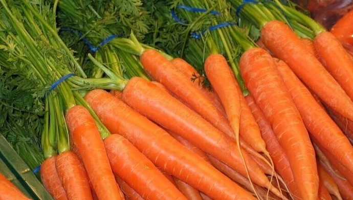 Mała, pomarańczowa, bardzo zdrowa... 4 kwietnia obchodzimy Dzień Marchewki