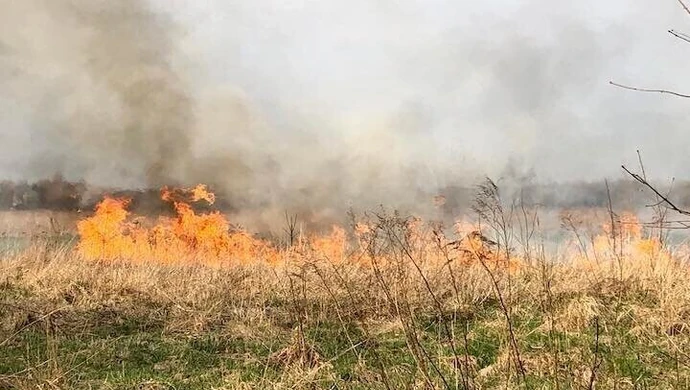 Pożar traw w Piotrkowie
