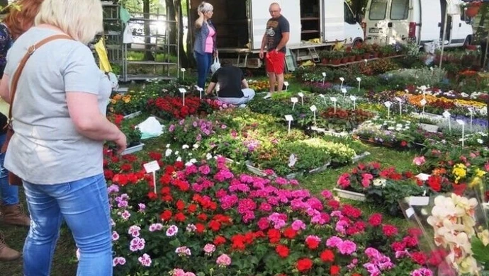 W niedzielę Piotrkowskie Targi Ogrodnicze 