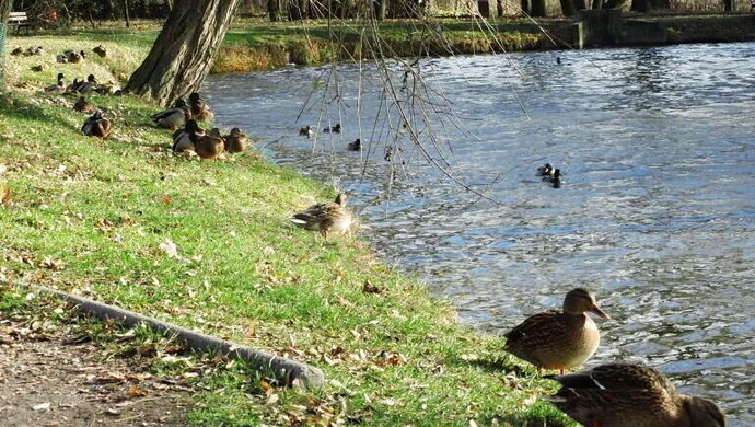 Park Belzacki czeka na modernizację. Co z dofinansowaniem?  