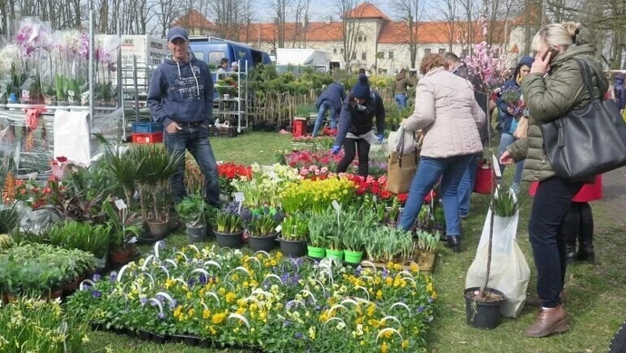 Pamiętaliście o ogrodach? 