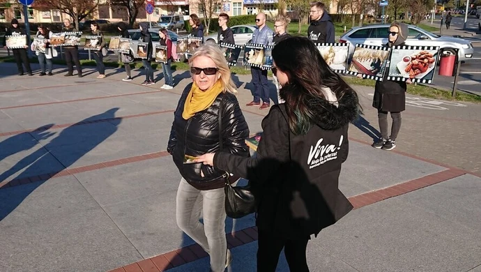  "Klatka po klatce" pokazali jak cierpią kury