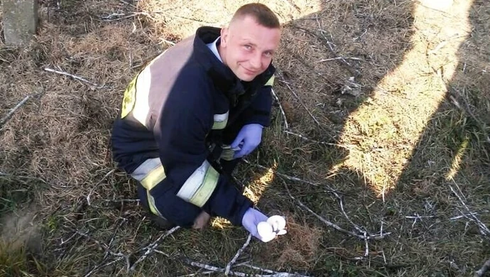 Strażacy pomogli… bocianiej rodzinie 