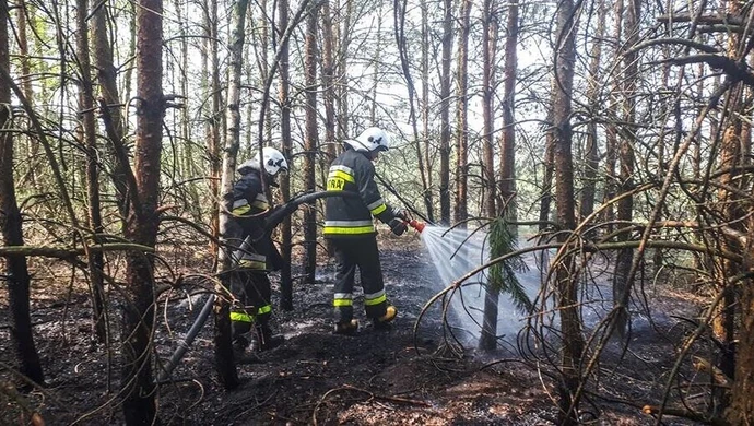 W lasach susza. Płonie kilkadziesiąt hektarów w pow. opoczyńskim [foto, video]