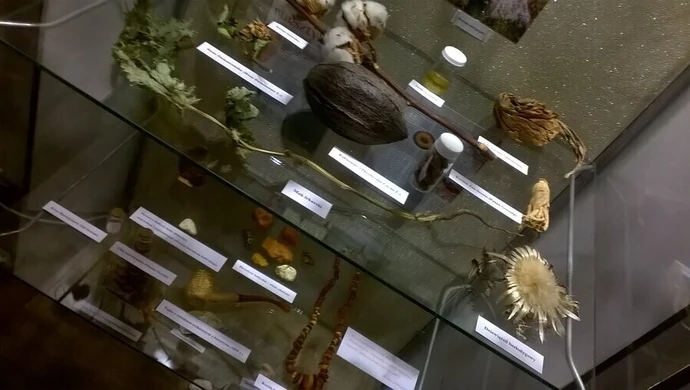 Aptekarska wystawa w piotrkowskim Muzeum