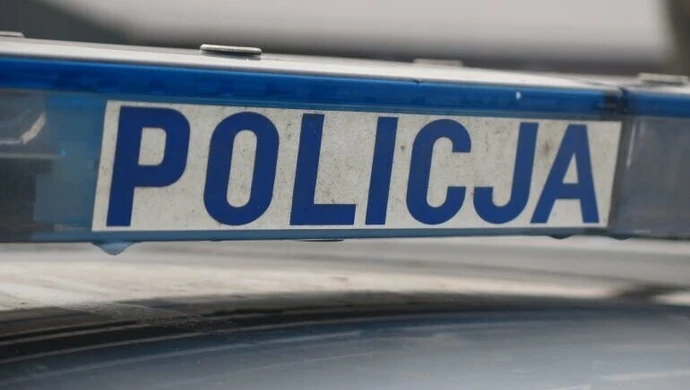 Kolizja na A1 pod Piotrkowem