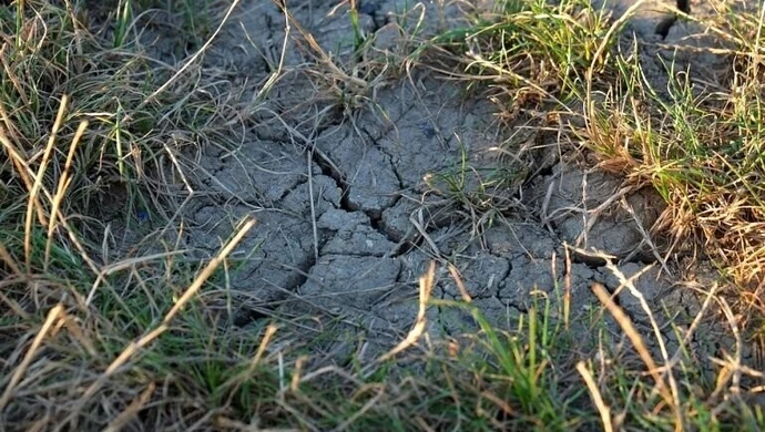 Susza w gminie Wolbórz