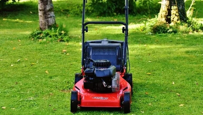 Łąki zamiast trawników