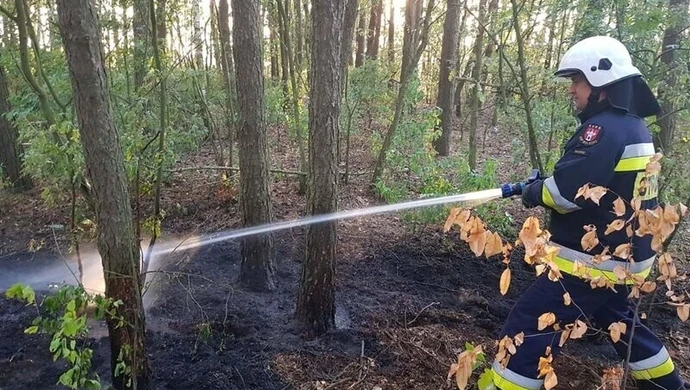 Płonący samochód na S8 i pożar w lesie