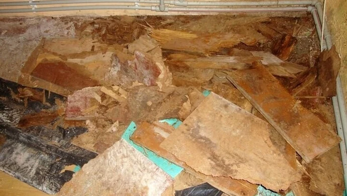 Przestała płacić czynsz bo nie chcieli wykonać remontu