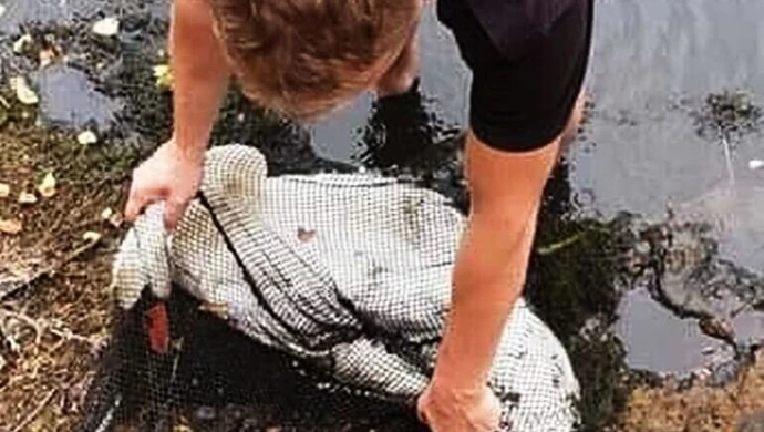 Niecodzienna akcja ratunkowa w Barkowicach. Uwolnili łabędzia z sideł