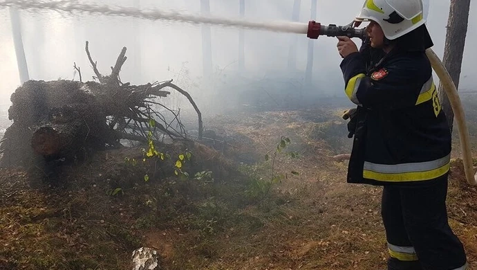 Pożar lasu w Swolszewicach Dużych