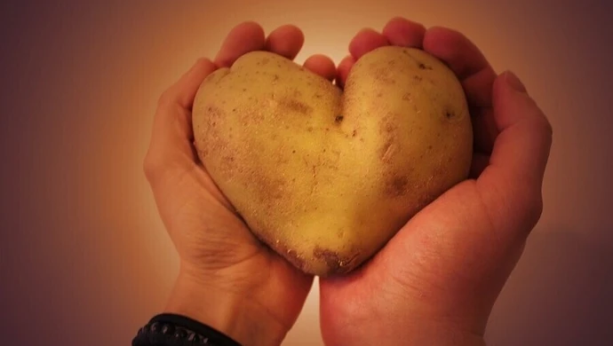 Kolejne święto pieczonego ziemniaka w Lubieniu