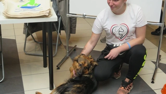 Piotrkowianie uczcili dzień zwierząt